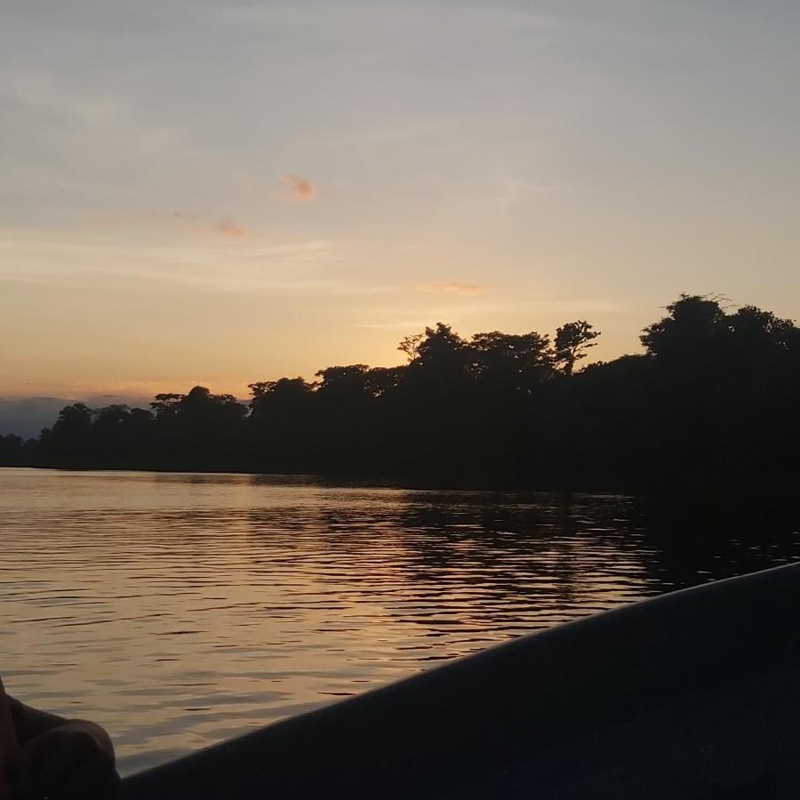 Cabanas Daneysha Tortuguero Exteriér fotografie