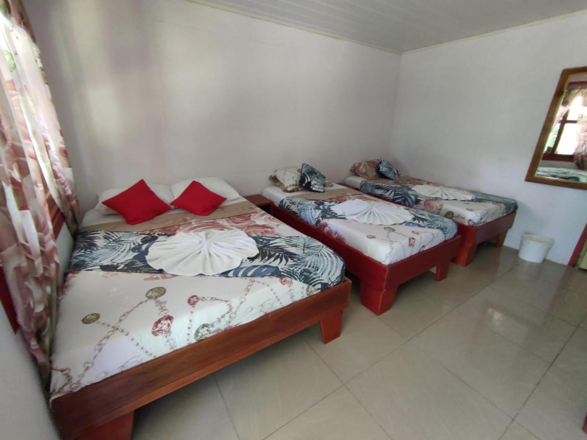 Cabanas Daneysha Tortuguero Exteriér fotografie