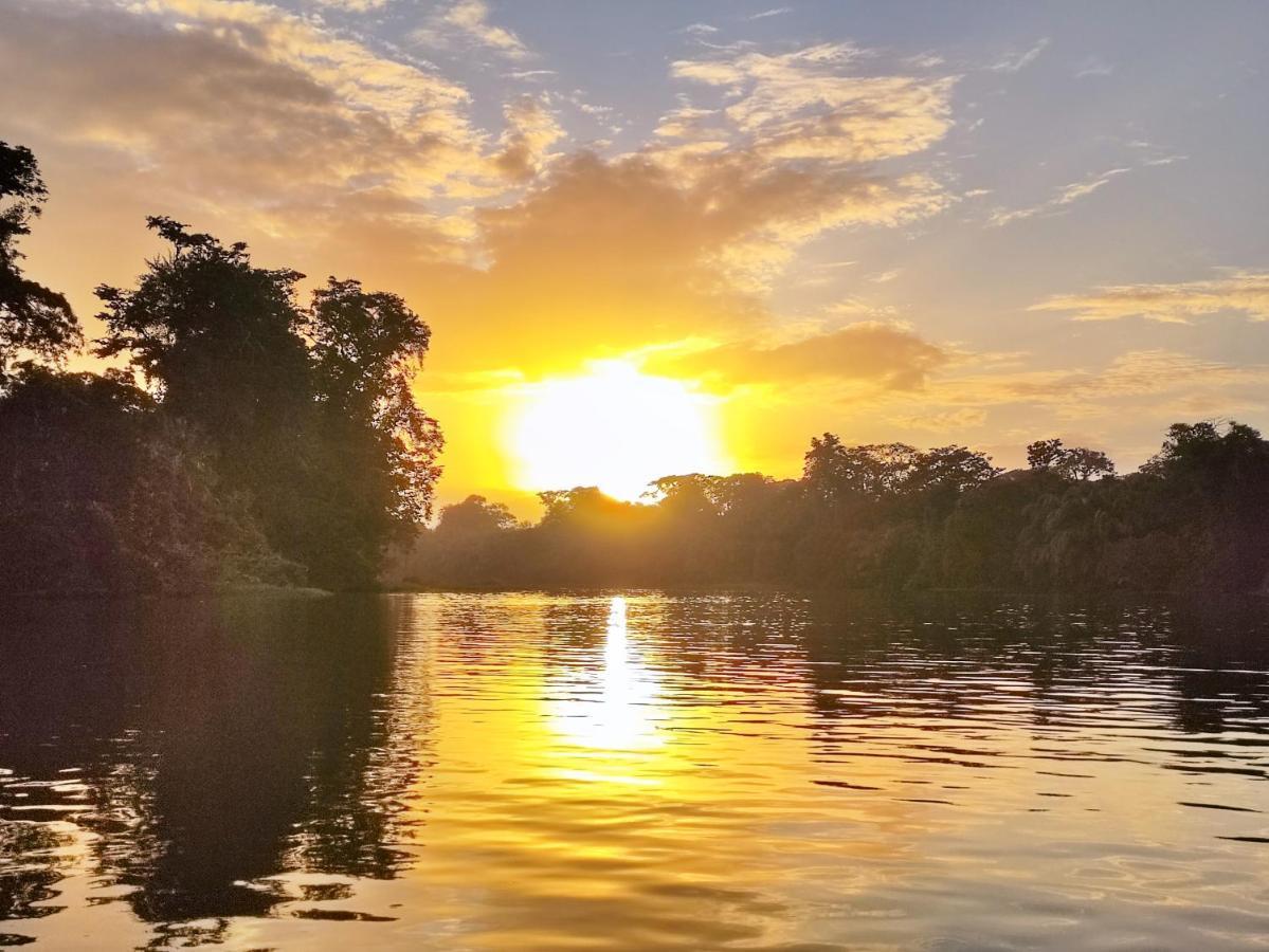 Cabanas Daneysha Tortuguero Exteriér fotografie